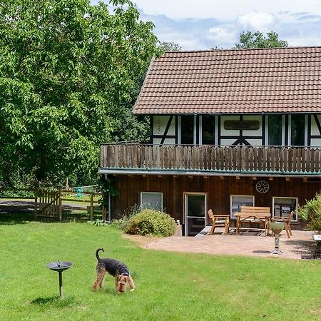 Forsthaus Halbemark Bad Sooden-Allendorf Bagian luar foto